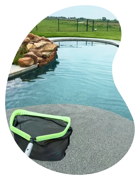 Professional pool cleaning service